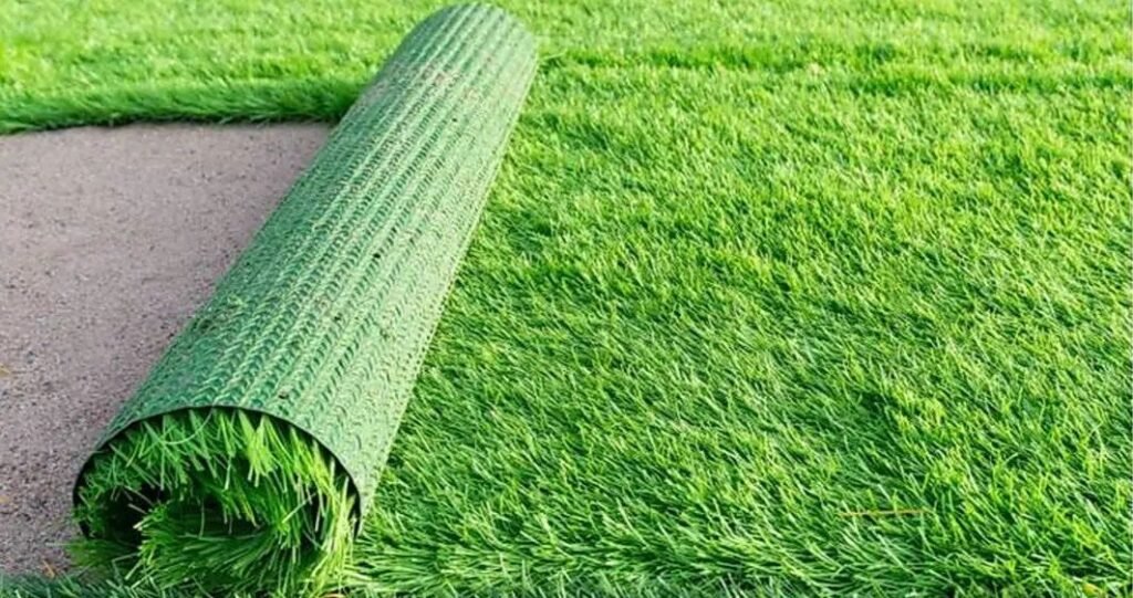 العشب الطبيعي والعشب الصناعي في حديقة بالرياض